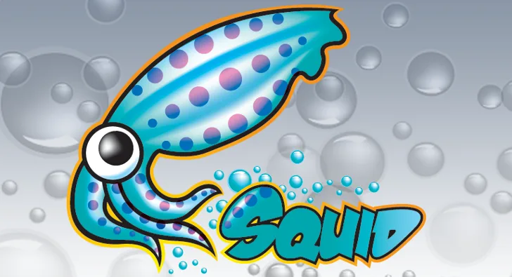 Squid Proxy