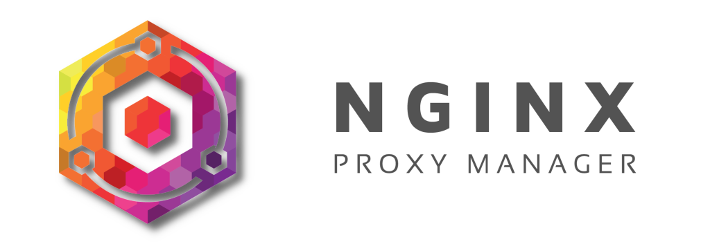 Nginx Proxy Manager and GoAccess
