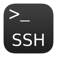 Git and apt via SSH Reverse Tunnel